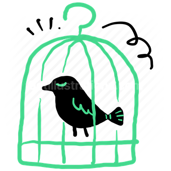 bird, animal, cage, pet, vet